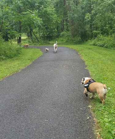 Rambo Park