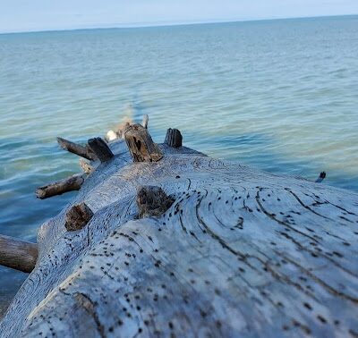 Old Mission Point Park - Ridgewood Trailhead - Traverse City,
