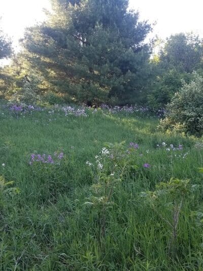 Silver Lake Recreation Area - Traverse City,