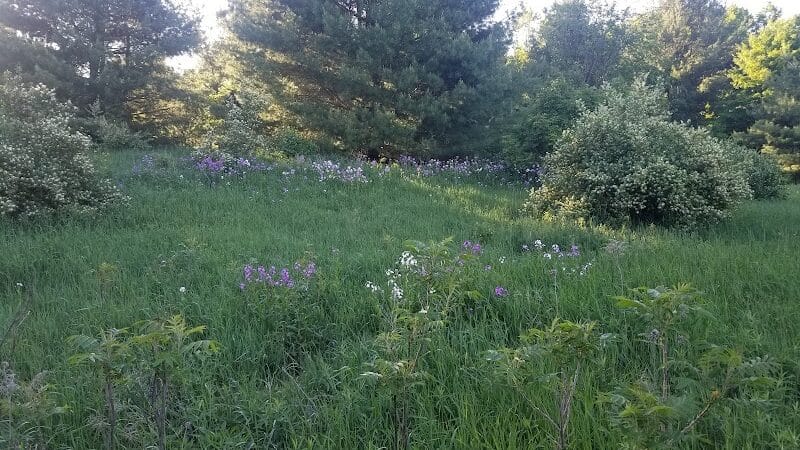Silver Lake Recreation Area - Traverse City,