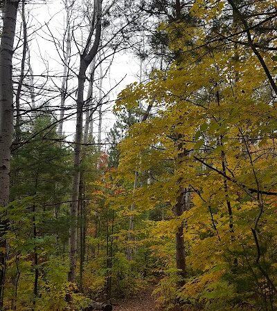 Silver Lake Recreation Area - Traverse City,