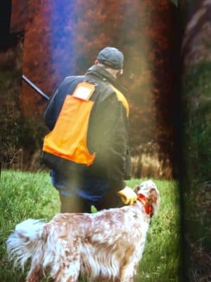 Dog training area