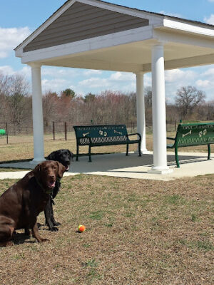 JBMDL Dog Park