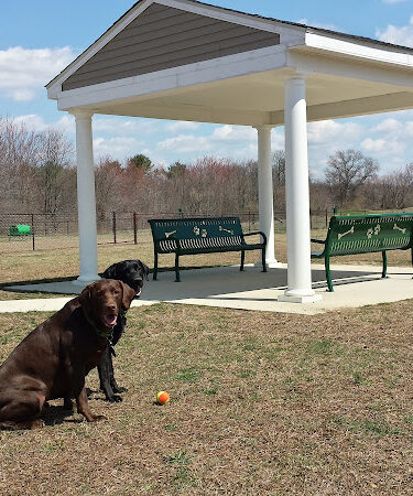 JBMDL Dog Park