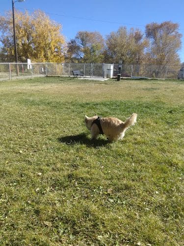 City Dog Park - Trinidad, CO