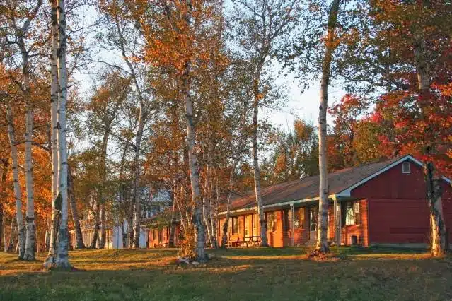 Birch Lodge & Motel - Trout Lake, MI