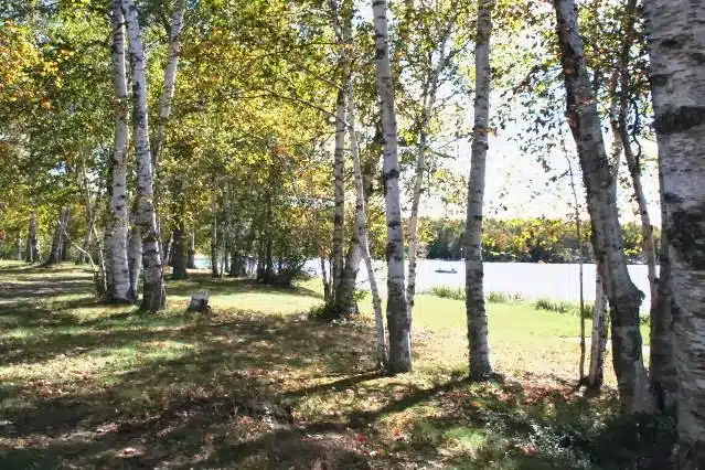 Birch Lodge & Motel - Trout Lake, MI
