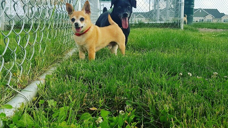 Daisy Knight Dog Park - Troy, MI