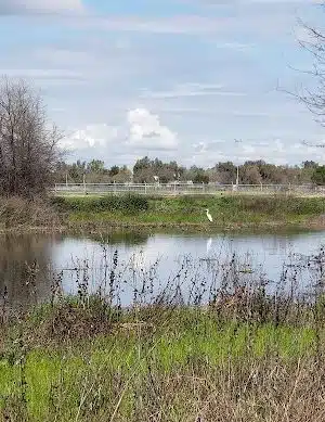 Elk Bayou Park