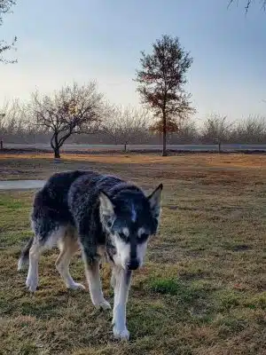 Elk Bayou Park