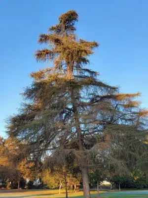 Elk Bayou Park