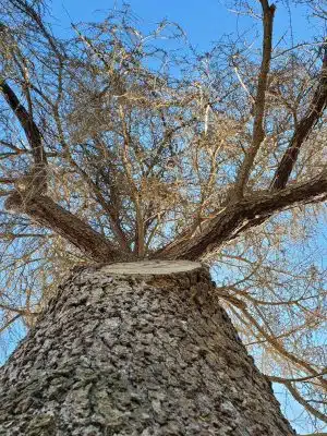 Elk Bayou Park