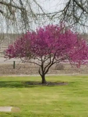 Elk Bayou Park