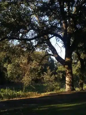 Elk Bayou Park