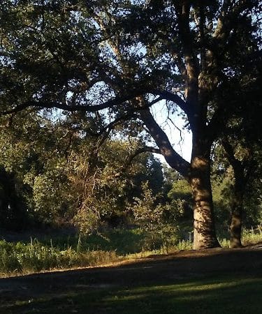 Elk Bayou Park