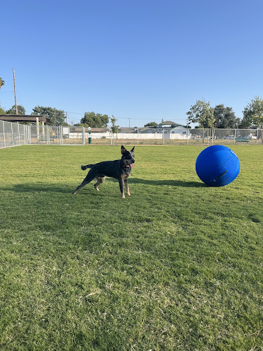 K9 Bane Dog Park