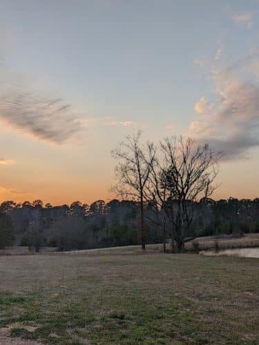 Bossart Park