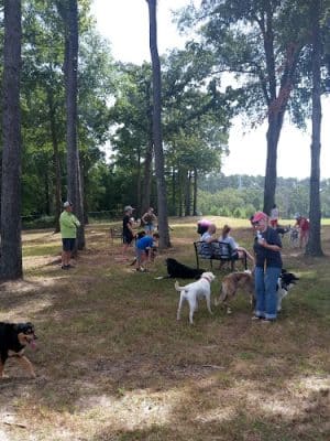 Bossart Park