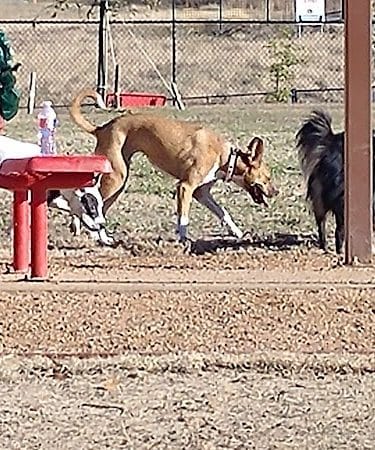 Bossart Park