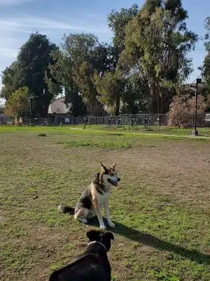 Drigon Dog Park