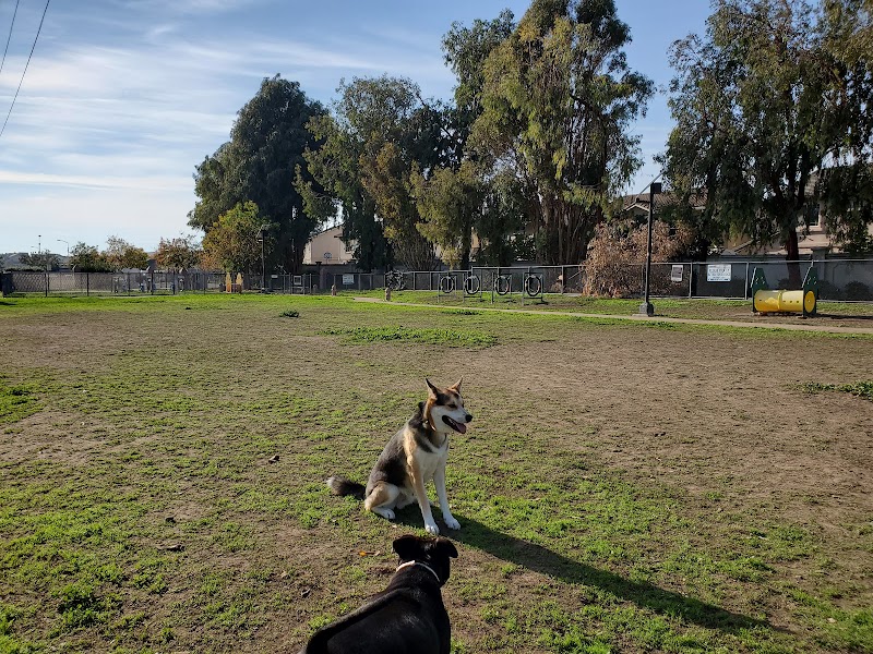 Drigon Dog Park - Union City, CA