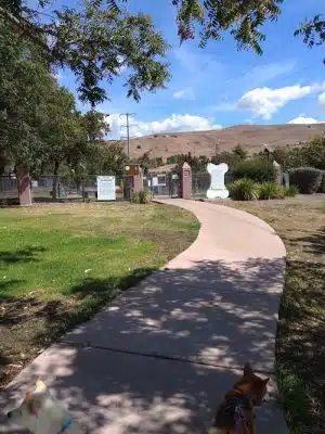 Drigon Dog Park