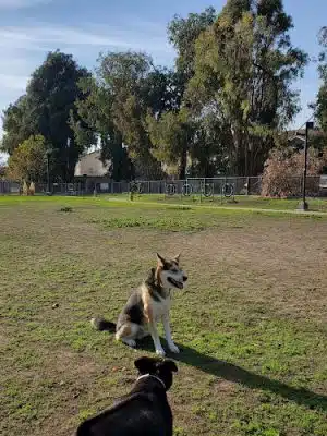 Drigon Dog Park