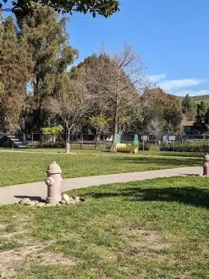 Drigon Dog Park