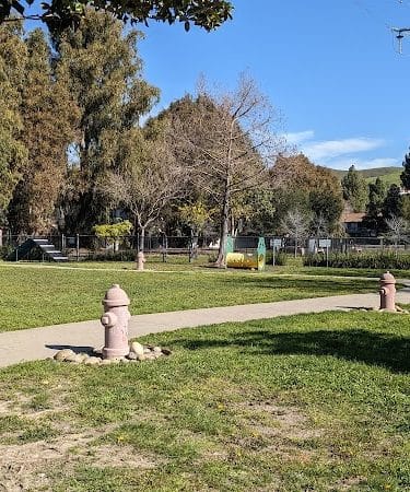 Drigon Dog Park