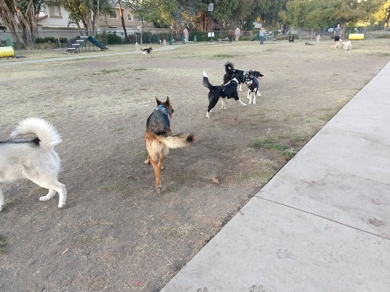 Drigon Dog Park - Union City, CA