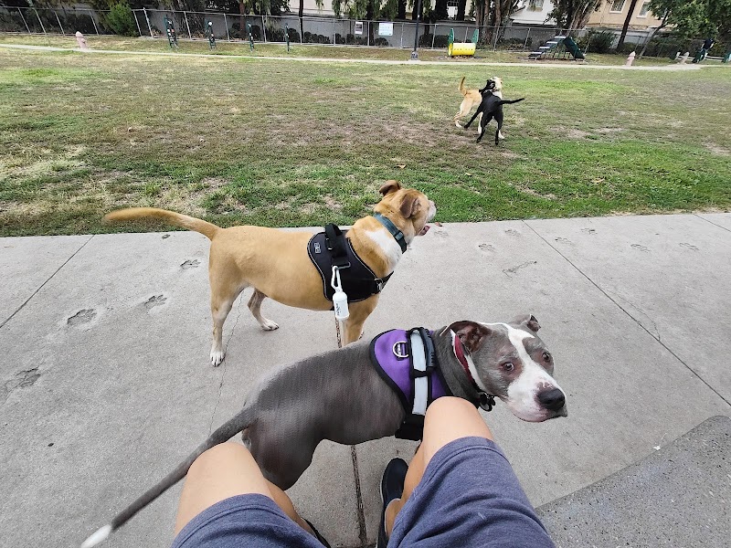 Drigon Dog Park - Union City, CA