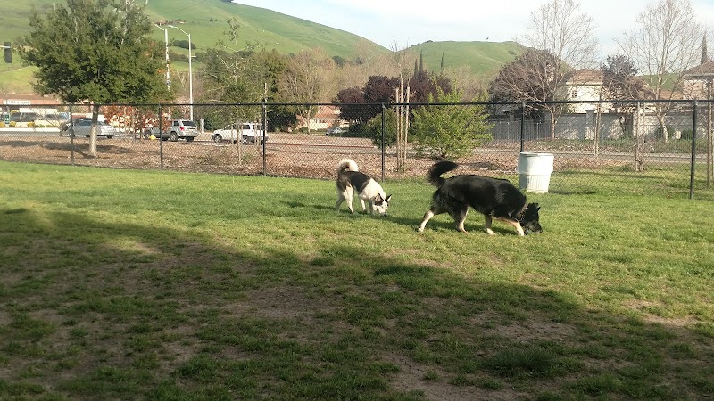 Drigon Dog Park - Union City, CA