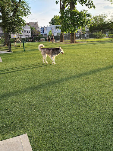 Washington Park Dog Run