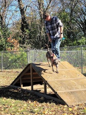 Union Dog Park