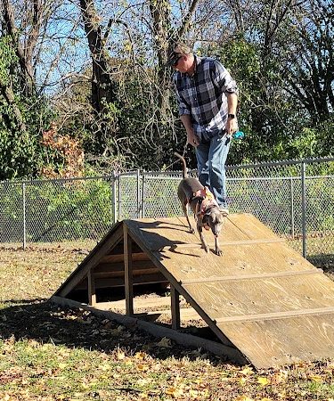 Union Dog Park