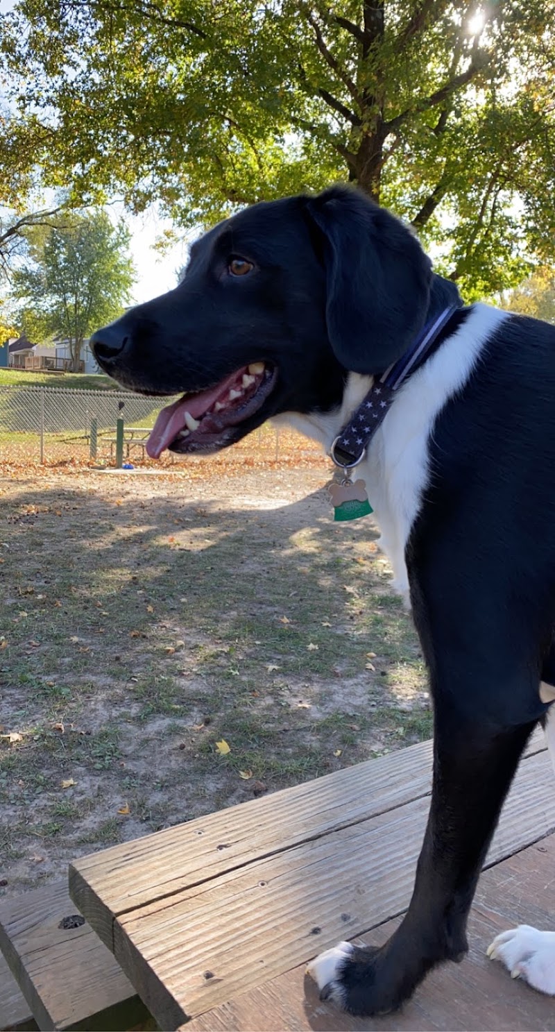 Union Dog Park - Union, MO