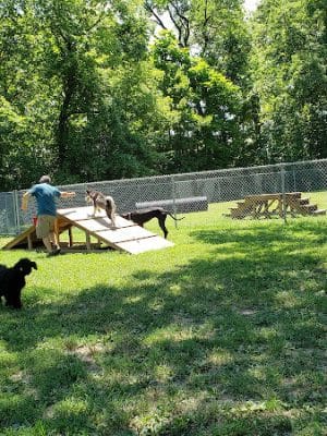 Union Dog Park