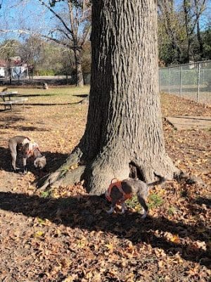 Union Dog Park