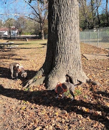 Union Dog Park