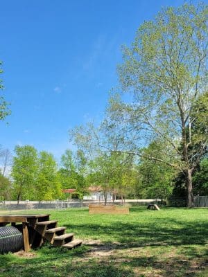 Union Dog Park