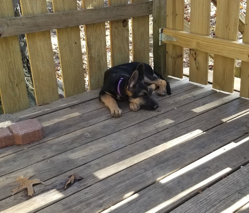 Union Dog Park - Union, MO