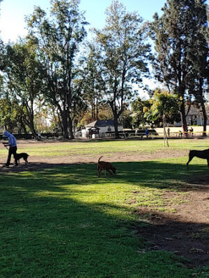 Baldy View Dog Park