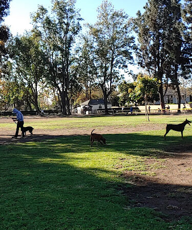 Baldy View Dog Park
