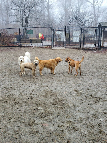 Brookdale Dog Park