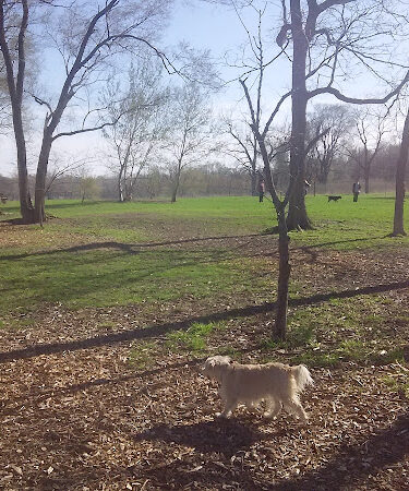 Urbana Dog Park (Private/Members Only)