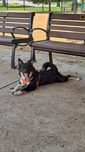 Talley Day Dog Park