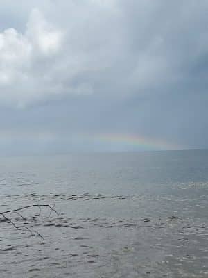 Brownies Beach