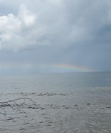 Brownies Beach