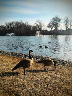 Audubon Lake