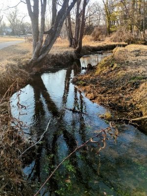 Audubon Lake